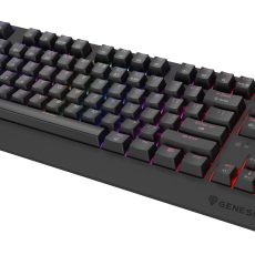 GENESIS Thor 230 TKL klawiatura Gaming USB + RF Wireless + Bluetooth QWERTY US English Czarny