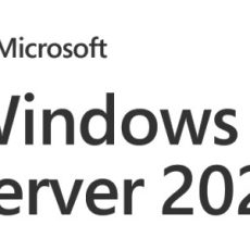 Windows Svr CAL 2025 5 EN Clt User CAL OEM