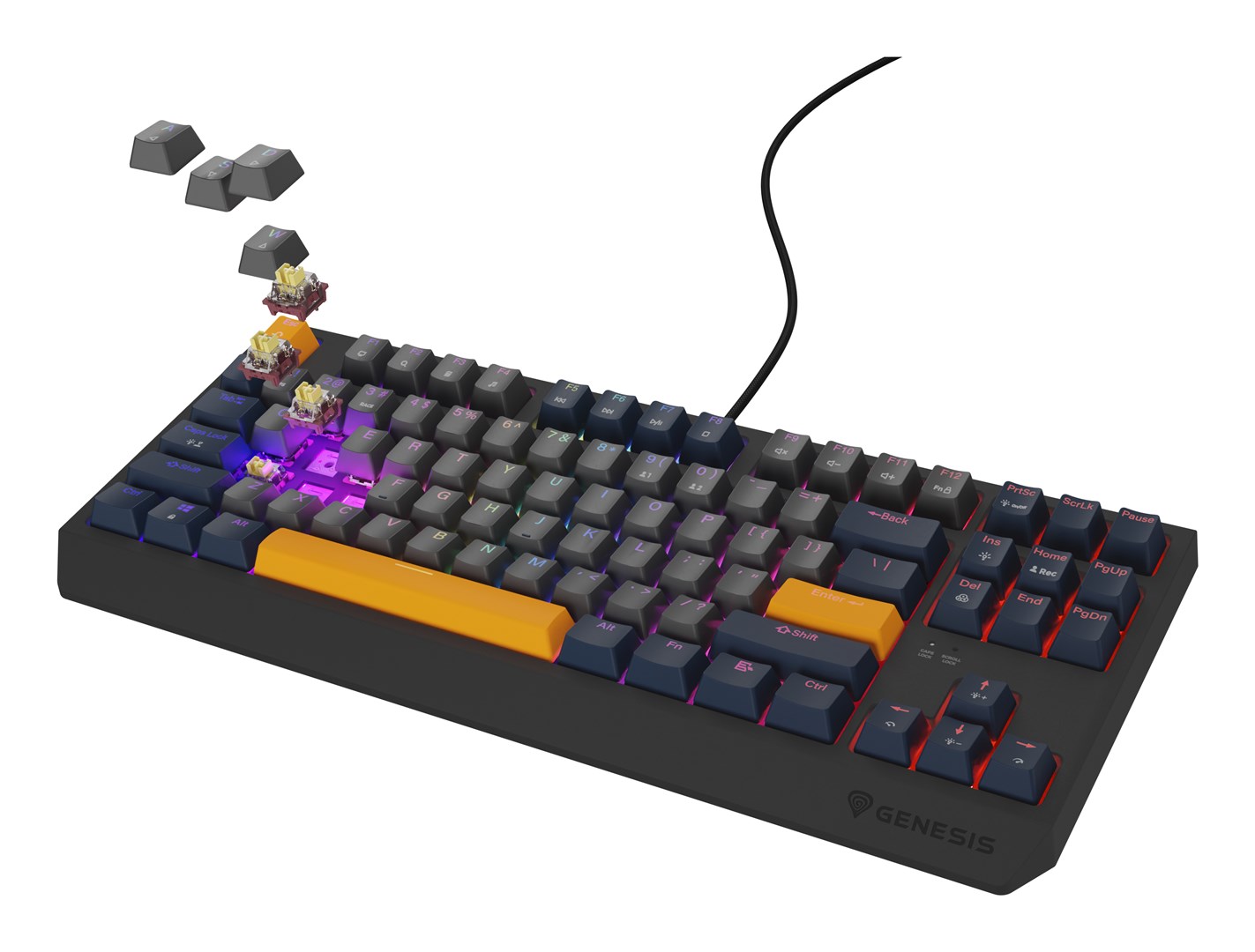 GENESIS Thor 230 TKL klawiatura Gaming USB QWERTY Angielski Niebieski - obrazek 2