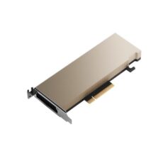Karta graficzna PNY NVIDIA A2 Module 16 GB GDDR6 ECC, PCIe 4.0 x16,  LP - ATX bracket, retail