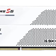 G.SKILL RIPJAWS S5 DDR5 2X48GB 5200MHZ CL40 XMP3 WHITE F5-5200J4040A48GX2-RS5W