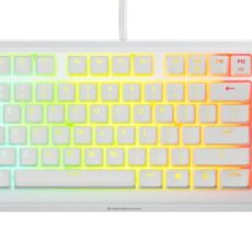 Klawiatura SteelSeries Apex 3 TKL US, white