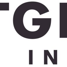 Licencja Netgear INSIGHT PRO 1 URZ. 5 LAT NPR1SNG5-10000S