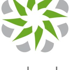 Licencja Zyxel Nebula Professional Pack (Na Urządzenie) 1 ROK