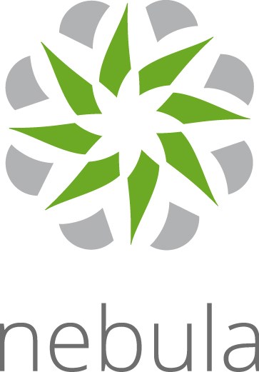 Licencja Zyxel Nebula Professional Pack (Na Urządzenie) 1 ROK