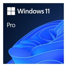 MS Windows 11 Professional 64bit Polish 1pk DVD OEM
