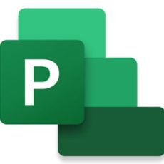 Project Standard 2024 All Languages Online Product Key License 1 License ESD