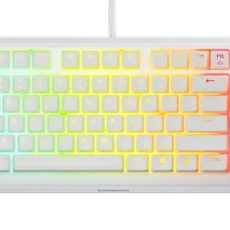 Klawiatura SteelSeries Apex 3 TKL US, white